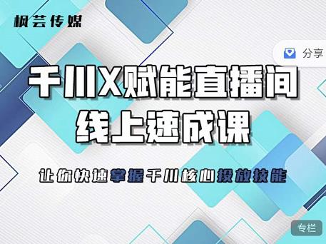 枫芸传媒-线上千川提升课，提升千川认知，提升千川投放效果-林文副业站