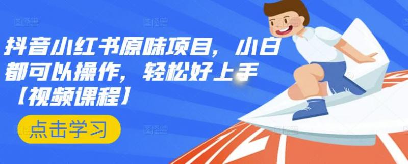 抖音小红书原味项目，小白都可以操作，轻松好上手【视频课程】-林文副业站