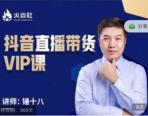 锤十八-抖音直播带货VIP课，专注直播带货有效盈利模式-林文副业站