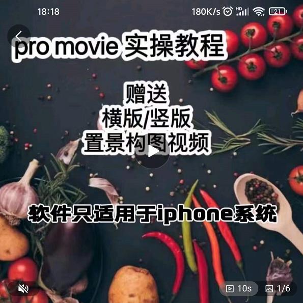 漆十二美食摄影，25​节promovie实操高手课节-林文副业站