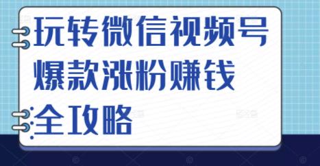 玩转微信视频号爆款涨粉赚钱全攻略，让你快速抓住流量风口，收获红利财富-林文副业站