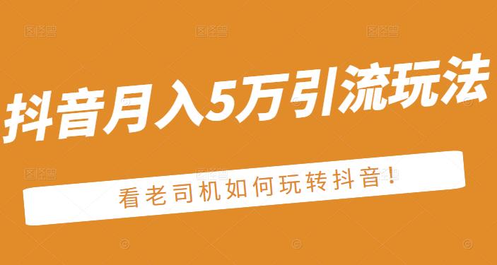 老古董·抖音月入5万引流玩法，看看老司机如何玩转抖音(附赠：抖音另类引流思路)-林文副业站