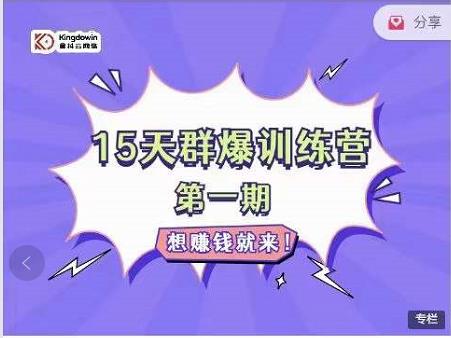 金抖云Peter《15天群爆训练营》，破解抖音玄学，群爆心法，起号方式-林文副业站