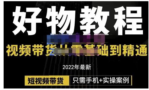 锅锅老师好物分享课程：短视频带货从零基础到精通，只需手机+实操-林文副业站
