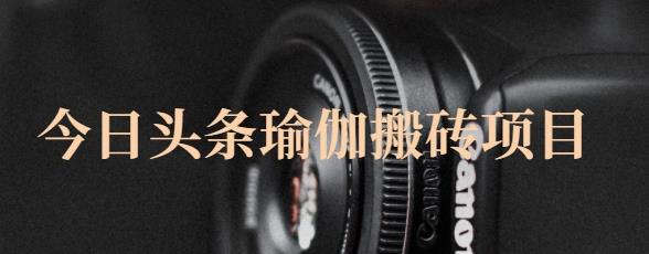 猎人社区·今日头条瑜伽搬砖项目，单号一天几十收入，可以批量操作！-林文副业站