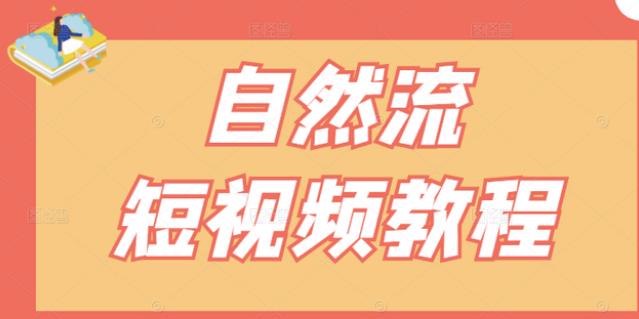 【瑶瑶短视频】自然流短视频教程，让你更快理解做自然流视频的精髓-林文副业站
