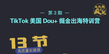 TikTok美国Dou+掘金出海特训营，美国dou+成功投放95%-林文副业站