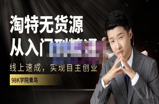 98k学院的淘特无货源线上速成课，从入门到精通，让你最小投入，最高回报-林文副业站