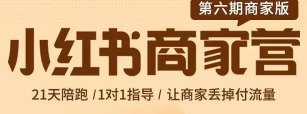 贾真-小红书商家营第6期商家版，21天带货陪跑课，让商家丢掉付流量-林文副业站