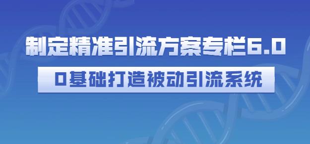 制定精准引流方案专栏6.0，0基础打造被动引流系统-林文副业站