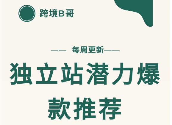 【跨境B哥】独立站潜力爆款选品推荐，测款出单率高达百分之80-林文副业站