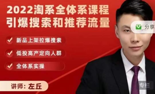 2022淘系全体系课程引爆搜索和推荐流量，新品上架拉爆搜索-林文副业站