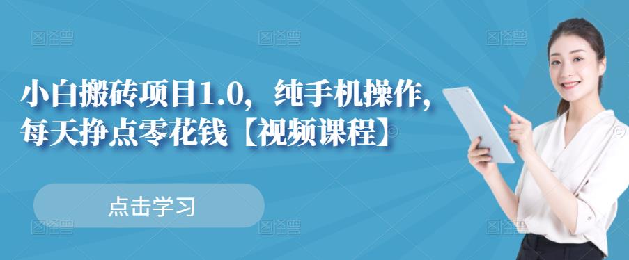 小白搬砖项目1.0，纯手机操作，每天兼职挣点零花钱-林文副业站