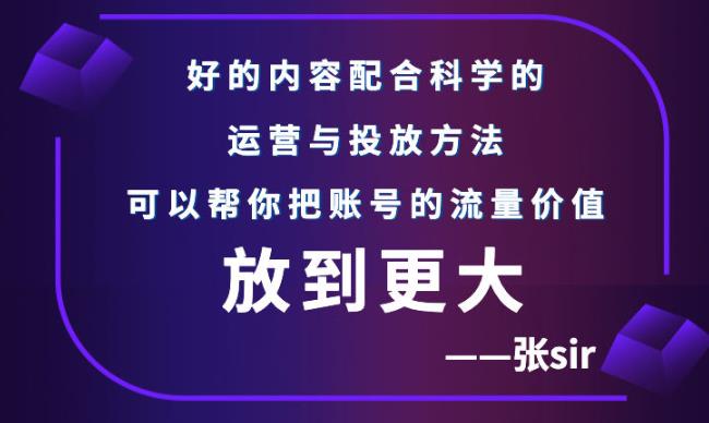 张sir账号流量增长课，告别海王流量，让你的流量更精准-林文副业站