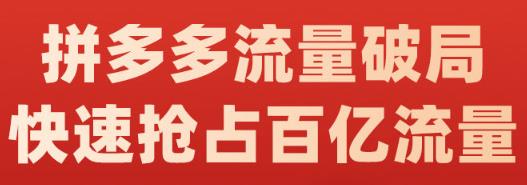 阿杰·拼多多流量破局:如何打黑标，爆款的思路，拼多多流量框架，快速抢占百亿流量-林文副业站