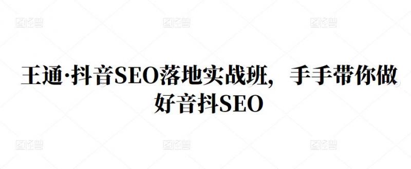 王通·抖音SEO落地实战班，手‬手带你做好音抖‬‬SEO-林文副业站