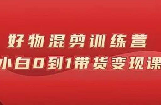 万三好物混剪训练营：小白0到1带货变现课-林文副业站
