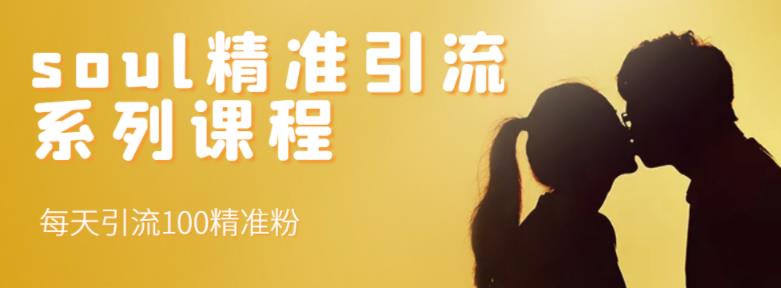 soul精准引流系列课程，每天引流100精准粉-林文副业站