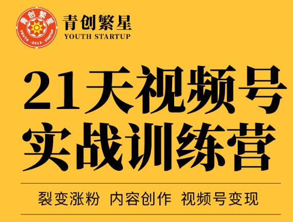 张萌21天视频号实战训练营，裂变涨粉、内容创作、视频号变现 价值298元-林文副业站