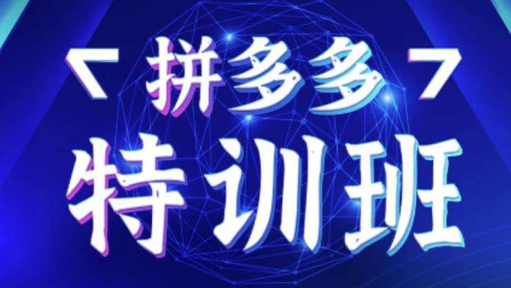 星雪教育·拼多多基础班+进阶班+突破班，用系统的学习模式快速改变现状价值3580元-林文副业站