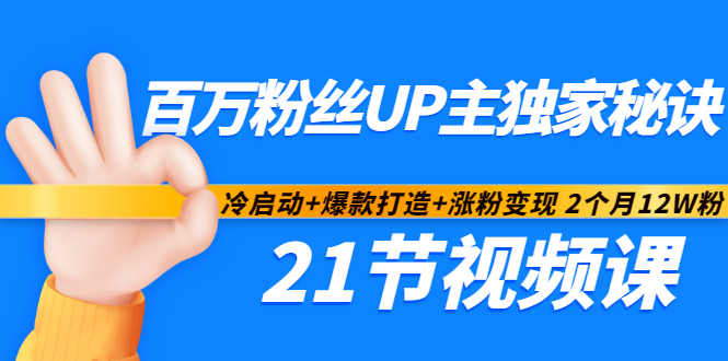 百万粉丝UP主独家秘诀：冷启动+爆款打造+涨粉变现2个月12W粉（21节视频课)-林文副业站