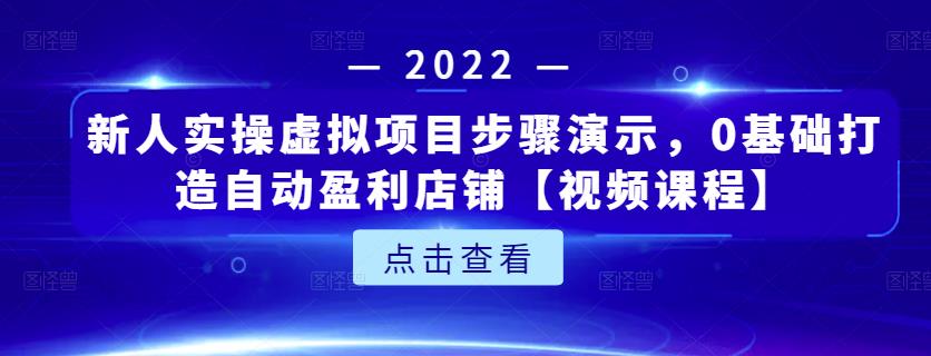 新人实操虚拟项目步骤演示，0基础打造自动盈利店铺【视频课程】-林文副业站