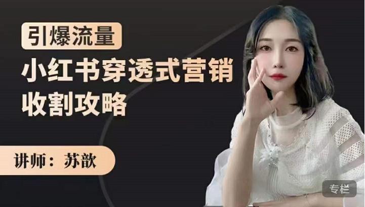 苏歆：小红书穿透式营销收割攻略，引爆流量，助你玩转小红书-林文副业站