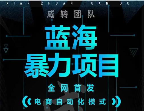 引流哥蓝海暴力躺赚项目：无需发圈无需引流无需售后，每单赚50-500（教程+线报群)-林文副业站