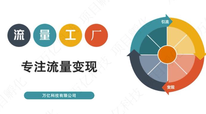 收费3980的流量工厂回粉项目，号称1个粉10元【详细玩法教程解析】-林文副业站