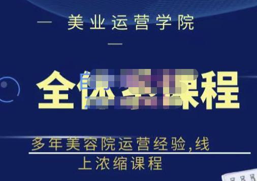 郑芳老师·网红美容院全套营销落地课程，多年美容院运营经验，线上浓缩课程-林文副业站