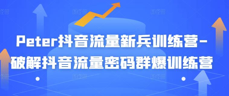 Peter抖音流量新兵训练营-破解抖音流量密码群爆训练营（新兵）-林文副业站