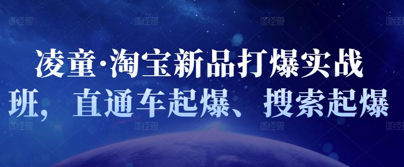 凌童·淘宝新品打爆实战班，直通车起爆、搜索起爆-林文副业站
