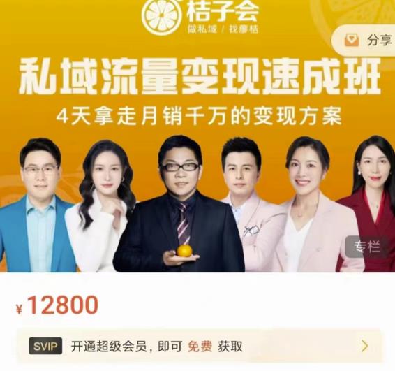 桔子会·私域流量变现速成班，4天拿走月销千万的变现方案 价值12800元-林文副业站