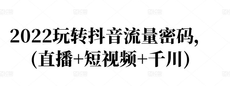 2022玩转抖音流量密码，(直播+短视频+千川)-林文副业站
