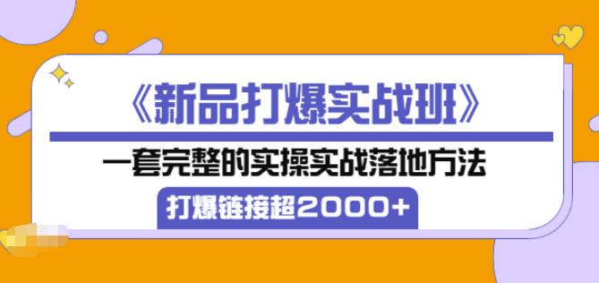 凌童《新品打爆实战班》,一套完整的实操实战落地方法，打爆链接超2000+（28节课)-林文副业站