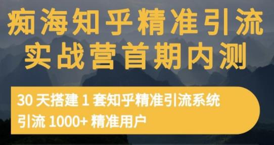 痴海知乎精准引流实战营1-2期，30天搭建1套知乎精准引流系统，引流1000+精准用户-林文副业站
