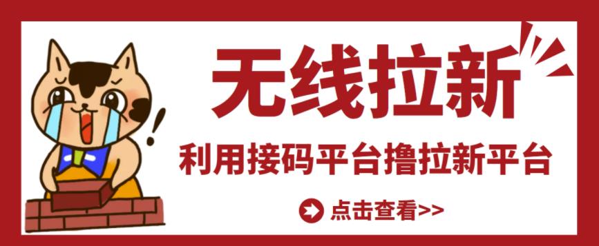 最新接码无限拉新项目，利用接码平台赚拉新平台差价，轻松日赚500+-林文副业站