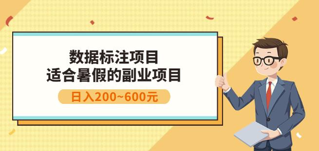 副业赚钱：人工智能数据标注项目，简单易上手，小白也能日入200+-林文副业站