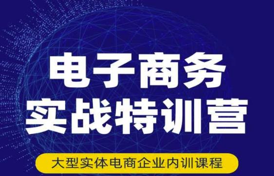 民赛电气内部出品：电子商务实战特训营，全方位带你入门电商，308种方式玩转电商-林文副业站