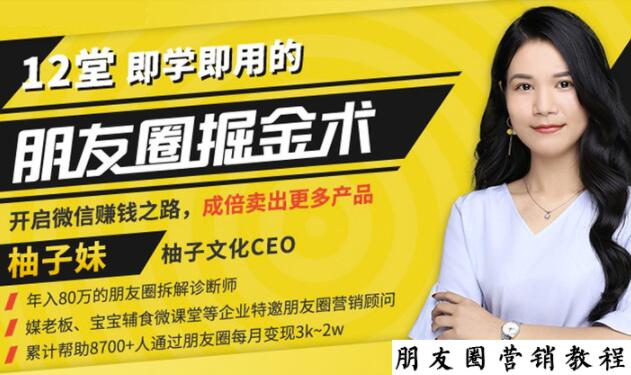 【营销必学】12堂学之即用的朋友圈掘金术：开启你的副业赚钱之路-林文副业站