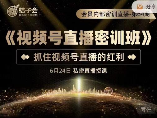 桔子会《视频号直播密训班》，抓住视频号直播的红利 价值12800-林文副业站
