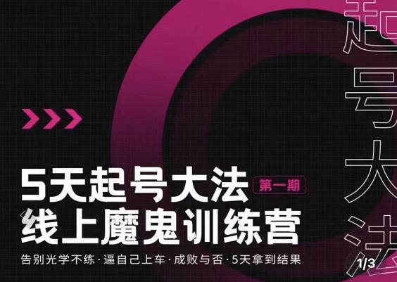 大播·五天起号魔鬼训练营，告别光学不练，逼自己上车，成败与否，5天拿到结果-林文副业站