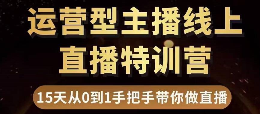 直播电商运营型主播特训营，0基础15天手把手带你做直播带货-林文副业站