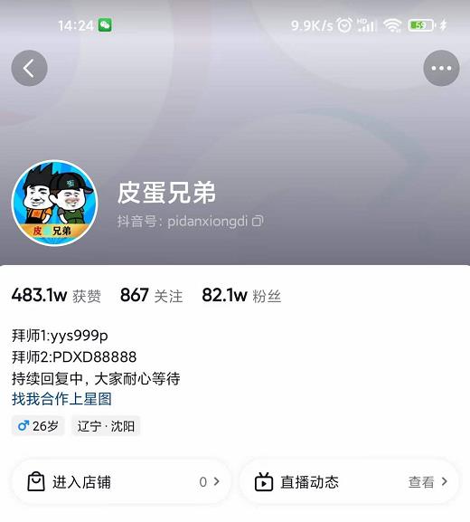 沙雕动画-皮蛋兄弟·熊猫人动画教学制作，全套素材文案教程分享！-林文副业站