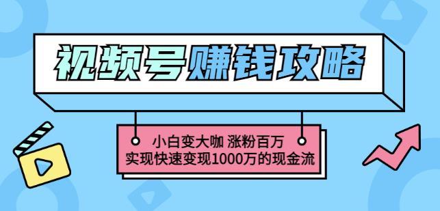 玩转微信视频号赚钱：小白变大咖涨粉百万实现快速变现1000万的现金流-林文副业站