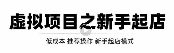 虚拟项目快速起店模式，0成本打造月入几万虚拟店铺！-林文副业站
