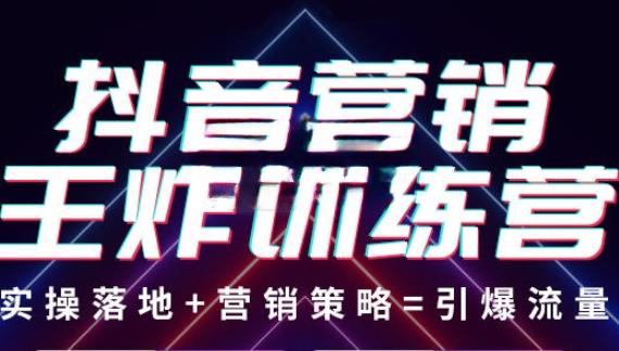 抖音营销王炸训练营，实操落地+营销策略=引爆流量（价值8960元）-林文副业站