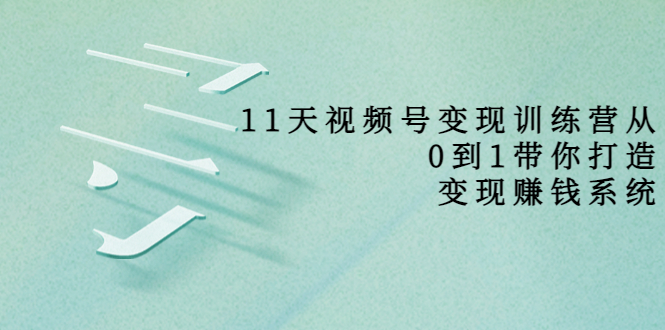 11天视频号变现训练营，从0到1打造变现赚钱系统（价值398元）-林文副业站
