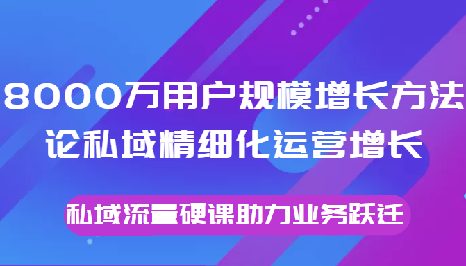 8000万用户规模增长方法论私域精细化运营增长，私域流量硬课助力业务跃迁-林文副业站