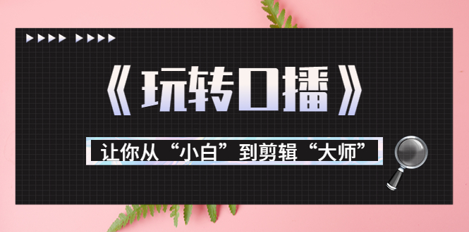月营业额700万+大佬教您《玩转口播》让你从“小白”到剪辑“大师”-林文副业站